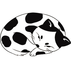 A cute black and white cat sleeps in a ball.