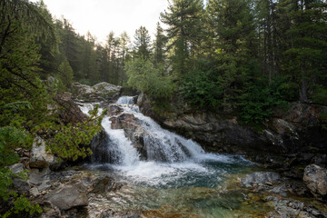 Fototapeta premium waterfall in the forest