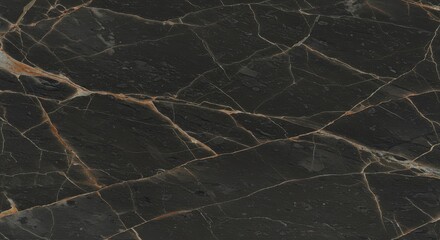 Elegant black marble surface with golden veining, ideal for interior design projects
