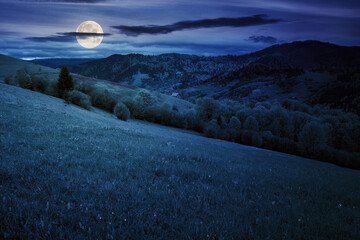 scenic rural landscape in mountains at night. forest on the grassy hillside in full moon light. ridge in the distance under starry sky with dark clouds