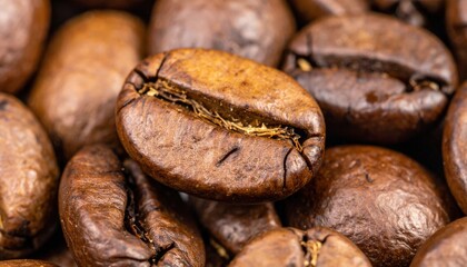 Coffee bean harvesting process coffee farm food photography natural environment close-up view artisan concept