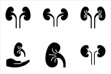 kidneys icon set, urinary system concept, vector illustration on white background