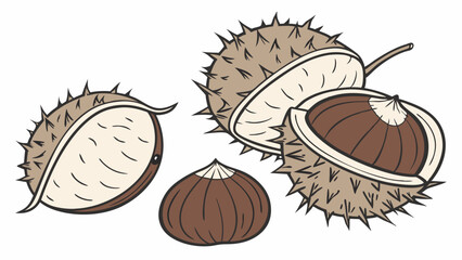 Vector Chestnuts in spiky shells, showcasing their natural beauty and texture, evoke sense of autumn warmth and nostalgia