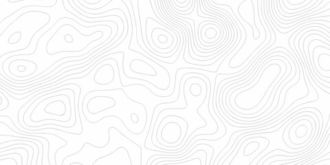 Abstract curve grid map and topo contour map white background. Topographic contour lines. Seamless pattern with lines Topographic map.