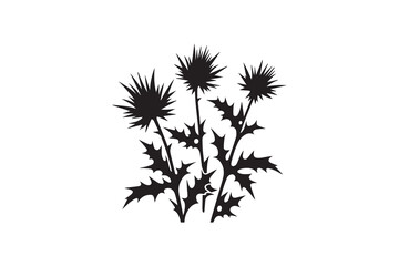 Obraz premium simple and unobtrusive sea holly vector silhouette illustration isolated in white background