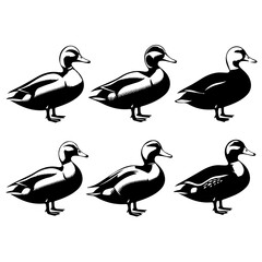 Set of six stylized black and white duck illustrations, each in a side profile with varied feather patterns. The minimalist vector style emphasizes form and texture for design or educational use.