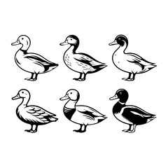 Set of six stylized black and white duck illustrations, each in a side profile with varied feather patterns. The minimalist vector style emphasizes form and texture for design or educational use.