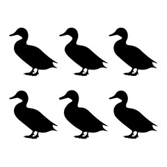 Set of six stylized black and white duck illustrations, each in a side profile with varied feather patterns. The minimalist vector style emphasizes form and texture for design or educational use.