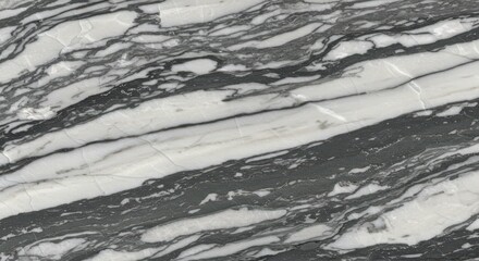 Elegant marble texture with striking black and white veining for design use