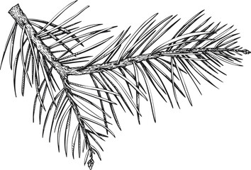 Christmas Decor Hand Drawn Illustration