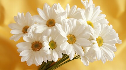Fototapeta premium Beautiful white daisies bouquet on yellow background lovely spring flowers floral image daisy bloom