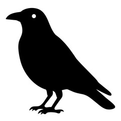 Black silhouette of a crow standing tall against a white background