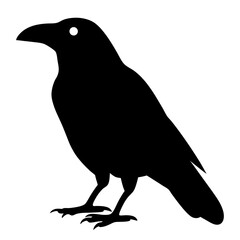 Silhouette of a watchful crow, standing alert and observing its surroundings