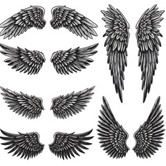 Obraz premium Graphite Wings: A Collection