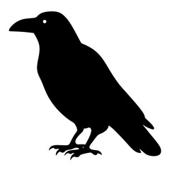 Silhouette of a majestic raven standing tall against a white background