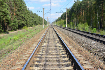 Railroad Tracks going to horizon Through a Forest