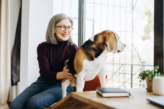 Senior woman petting her beagle dog at home by the window