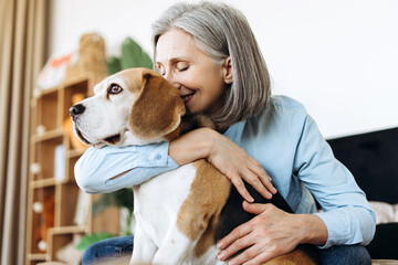 Happy, smiling senior woman embracing beagle at home: showing affection and love