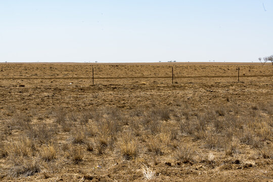 Drought stricken land with fence, dead grasses, bare ground and clear harsh bright sky