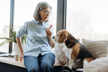Senior woman scolding her beagle dog at home