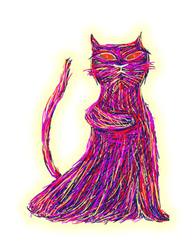 Colorful Cat