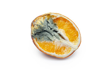 Moldy half of orange. Detail photo of rotten orange isolated on white background. Moldy food...