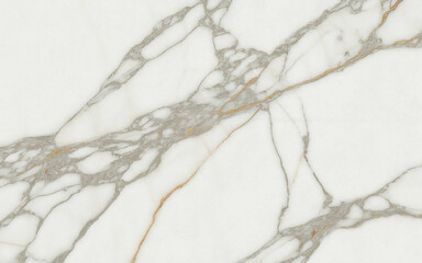 Fototapeta premium Arabescato Marble – Classic White Marble with Bold Grey Veining in Flowing Patterns