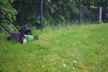 A push lawn mower sits on a freshly mowed green lawn next to a chain-link fence, with dandelions...