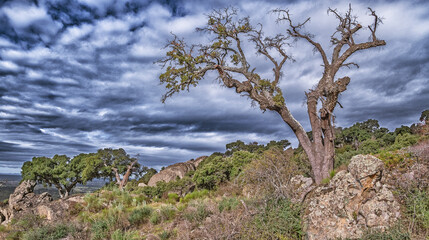 Protected Landscape Monte Valcorchero y Sierra del Gordo, UICN, Plasencia, C&aacute;ceres, Extremadura, Spain, Europe
