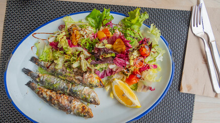 Grilled Sardines with Salad, Spanish Cuisine, Spanish Gastronomy, Spain, Europe.