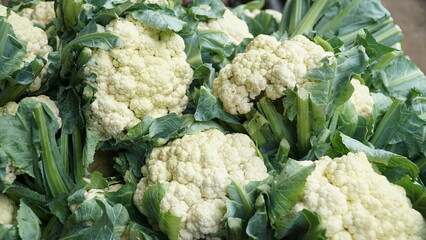 cauliflower from the farmers' harvest