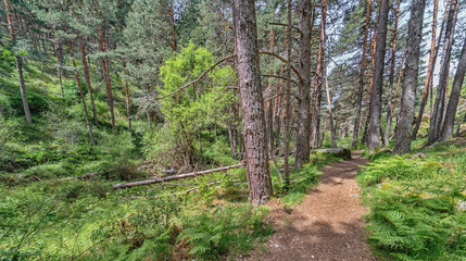 Azud del Acueducto Hiking Route, Guadarrama Mountains Walking Path, Sierra de Guadarrama National Park, Segovia, Castilla y León, Spain, Europe