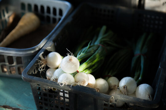 Vegetables for sale at farmers stall on the roadside
