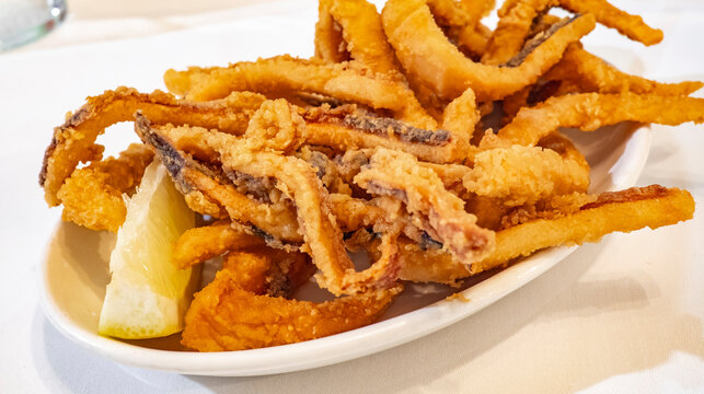 Fried Squid, Spanish Delicacy, Spanish Gastronomy, Cantabria, Spain, Europe