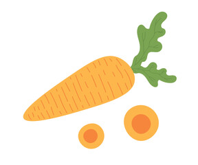 Simple flat cartoon illustration of a carrot