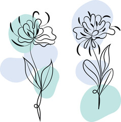 Vibrant Colorful Flower for Spring or Summer Themes