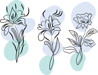 Vibrant Colorful Flower Design Detailed Botanical Illustration 