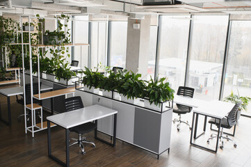 Modern office interior design with green plants enhancing workspace