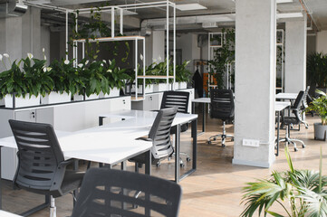 Modern office interior design featuring ergonomic chairs and green plants