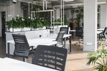 Modern office interior design featuring potted plants and ergonomic chairs