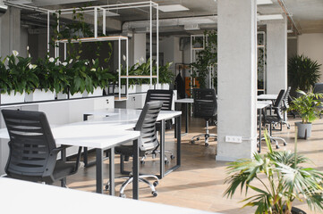 Modern office interior design with green plants enhancing workspace