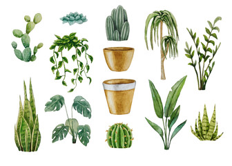 Set of indoor plants and ceramic pots. Watercolor illustration. White background. For your design