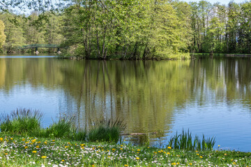 Étang de Cessy au printemps
