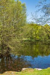 Étang de Cessy au printemps