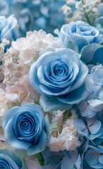 たくさんのバラの花