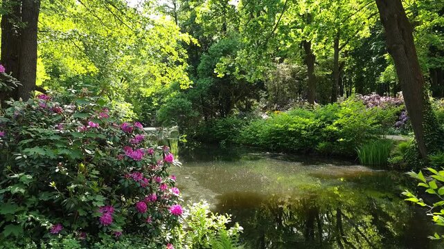 A tranquil scene in Berlin&rsquo;s Tiergarten: sunlight glimmers on the river, flowers bloom, and trees sway gently, nature&rsquo;s quiet embrace in the heart of the bustling city.