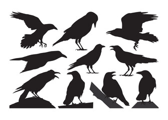 Raven vector, Raven clipart, Raven silhouette