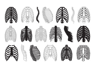 Rib cage vector, Rib cage clipart, Rib cage silhouette