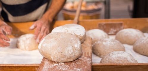 Yeast dough in the form of loaves waiting to be cooked