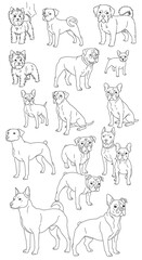 Fototapeta premium Charming Canine Sketches: Line Art Dog Collection